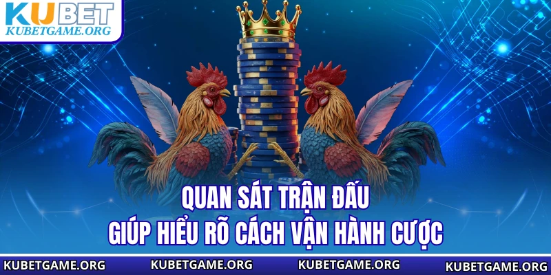 Quan sát trận đấu giúp hiểu rõ cách vận hành cược
